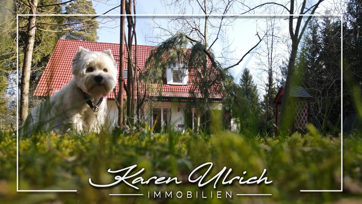 7غرفة منزل في Harburg, Germany رقم 286655