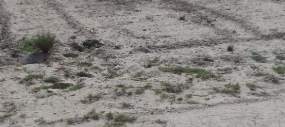 Terreno en Aspe, Spain No. 160958 2