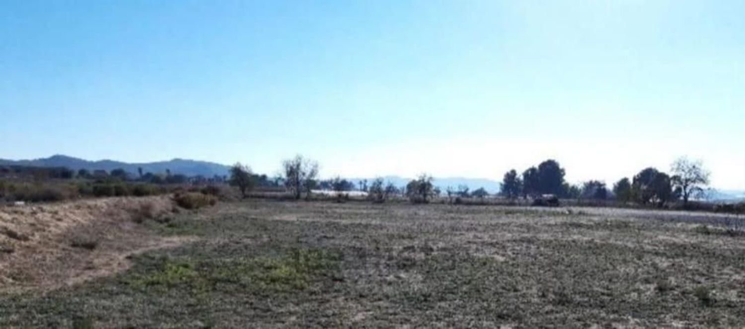 Terreno en Aspe, Spain No. 160958