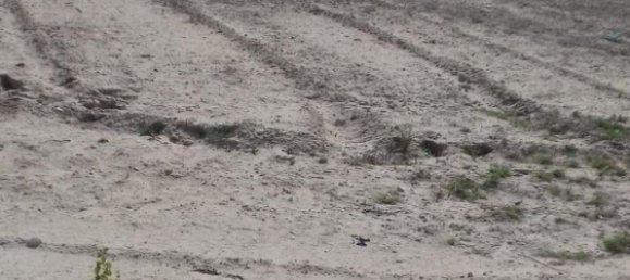 Terreno en Aspe, Spain No. 160958 3