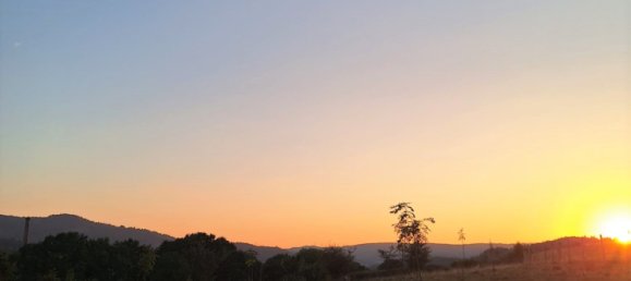 Castillos de 7 dormitorios en Ensisheim, France No. 271631 5