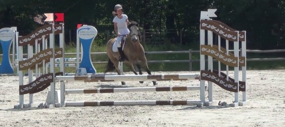 Castillos de 7 dormitorios en Ensisheim, France No. 271631 3