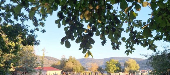 Castillos de 7 dormitorios en Ensisheim, France No. 271631 2