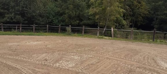 Castillos de 7 dormitorios en Ensisheim, France No. 271631 6