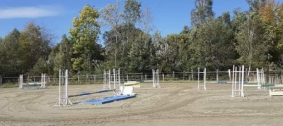 Castillos de 7 dormitorios en Ensisheim, France No. 271631 4