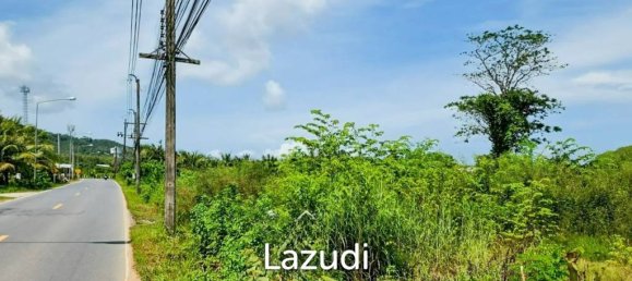  Commercial property in Bang Tao, Thailand No. 14299 6