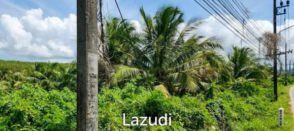  Commercial property in Bang Tao, Thailand No. 14299 3