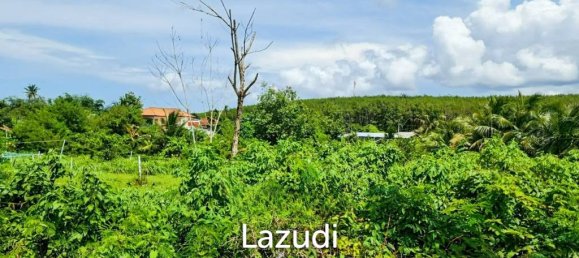  Commercial property in Bang Tao, Thailand No. 14299 9