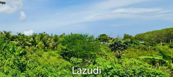  Commercial property in Bang Tao, Thailand No. 14299 7