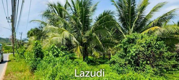  Commercial property in Bang Tao, Thailand No. 14299 2