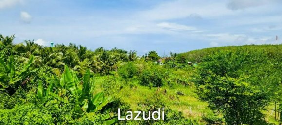  Commercial property in Bang Tao, Thailand No. 14299 8