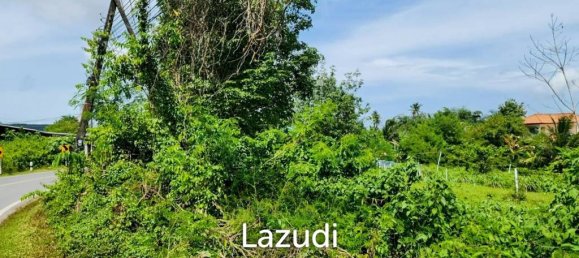  Commercial property in Bang Tao, Thailand No. 14299 5