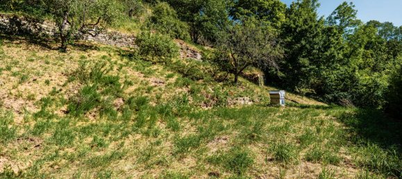 2 غرف نوم بانتهاوس في Stuttgart, Germany رقم 244990 15