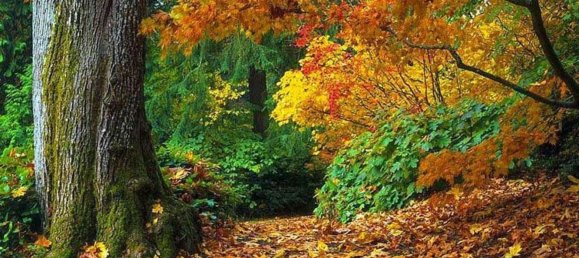 6-Zimmer Haus in Villadossola, Italy, Nr. 167726 27