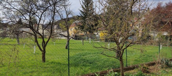 9-Zimmer Stadthaus in Liesing, Austria, Nr. 169693 26