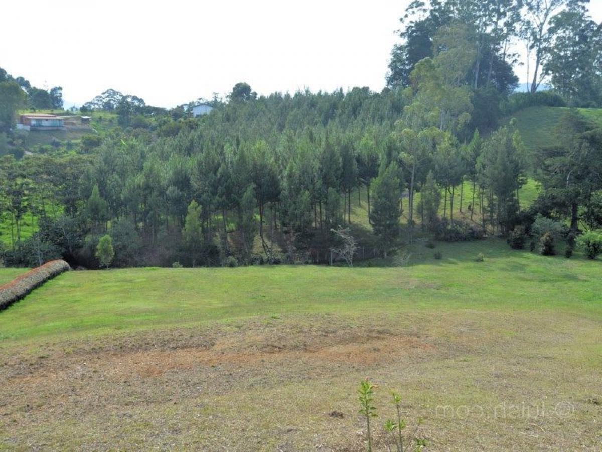  Land in Antioquia, Colombia No. 706