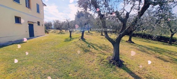 6 rooms Villa in Vallefoglia, Italy No. 37332 6