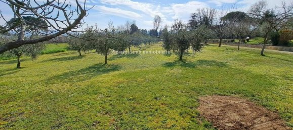 6 rooms Villa in Vallefoglia, Italy No. 37332 10