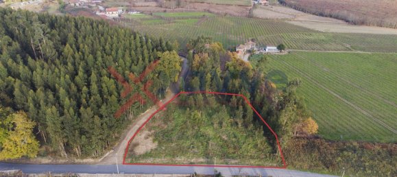  قطعة أرض في Felgueiras, Portugal رقم 145828 4