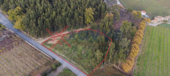  قطعة أرض في Felgueiras, Portugal رقم 145828 2