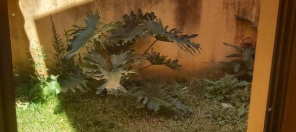 Casa T4 em Barva, Costa Rica N.º 209 6