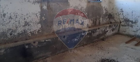 180000m² Land in Civitavecchia, Italy No. 151304 25