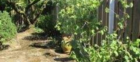 Bungalow de 5 divisões em Ludwigshafen am Rhein, Germany N.º 326412 7