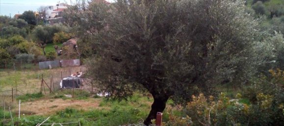 1000m² Hotel in Messenia, Greece No. 6390 4