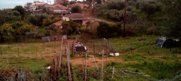 1000m² Hotel in Messenia, Greece No. 6390 5