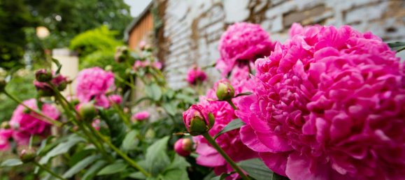 Таунхаус с 4 спальнями в Мёнхенгладбах, Германия № 312981 7