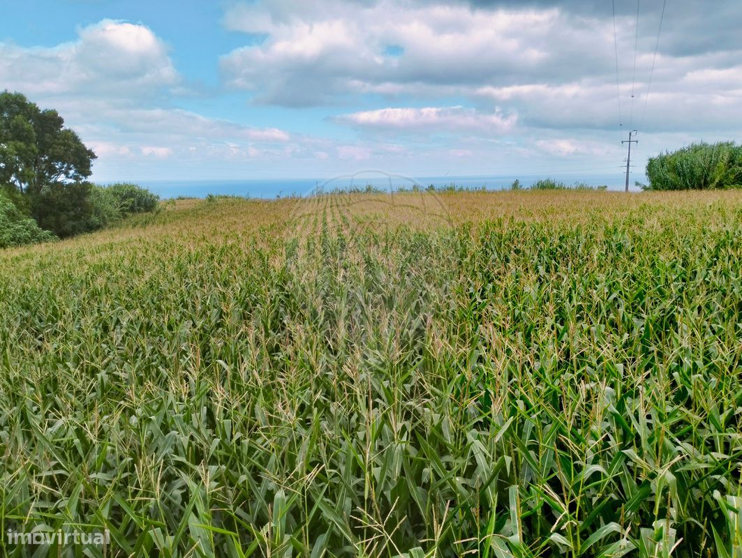  قطعة أرض في Ribeira Grande, Portugal 11040متر مربع رقم 328573