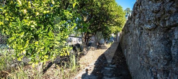 4 bedrooms House in Cernache, Portugal No. 65507 35