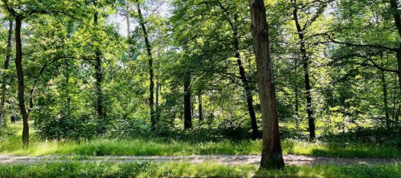 Дуплекс с 2 спальнями в Далем, Германия № 114270 17