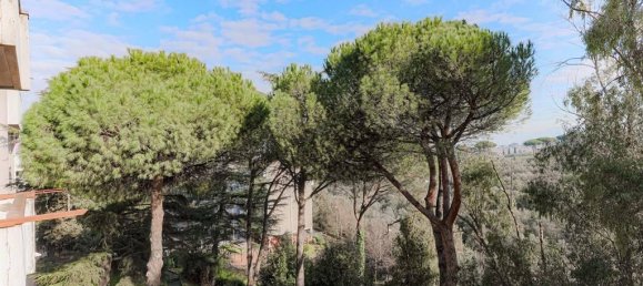 4 rooms Apartment in Frascati, Italy No. 31830 37