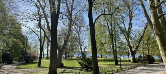 Studio in Greifswald, Germany, Nr. 33676 8