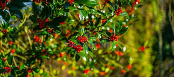 4 Schlafzimmer Haus in Montigny-les-Metz, France, Nr. 51933 14