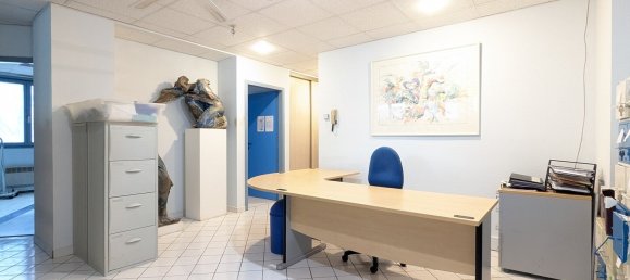 3 chambres Propriété commerciale à Colmar, France No. 44253 5