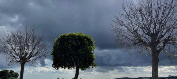 Grundstück in Cadiz, Spain 2690m², Nr. 82845 3