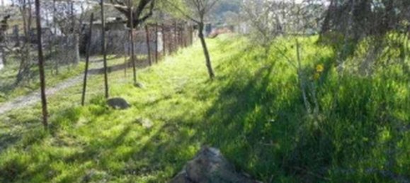 1810m² Land in Pignola, Italy No. 371203 8