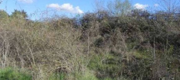1810m² Land in Pignola, Italy No. 371203 7