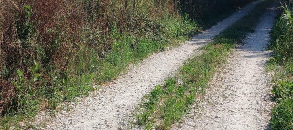 Terreno em Orjais, Portugal 13249 m² N.º 140594 17