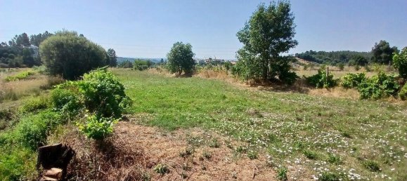 Terreno em Orjais, Portugal 13249 m² N.º 140594 15