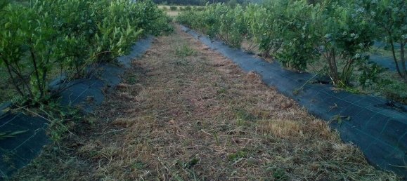 Terreno em Orjais, Portugal 13249 m² N.º 140594 4