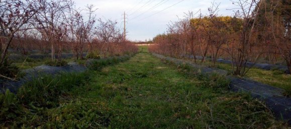 Terreno em Orjais, Portugal 13249 m² N.º 140594 6