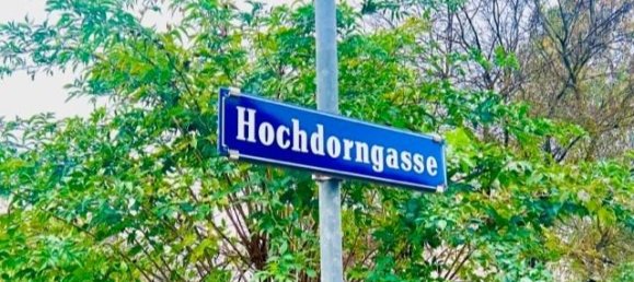 500m² Land in Ganserndorf, Austria No. 201686 9