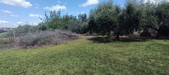 4 Schlafzimmer Wohnung in Anguillara Sabazia, Italy, Nr. 320934 22