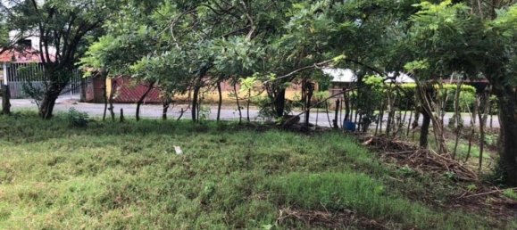 Grundstück in Alajuela, Costa Rica, Nr. 1698 5