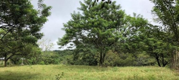 Grundstück in Alajuela, Costa Rica, Nr. 1698 6