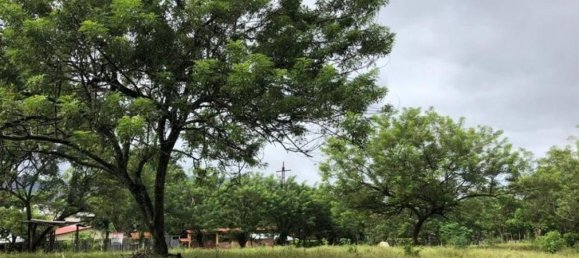 Grundstück in Alajuela, Costa Rica, Nr. 1698 3