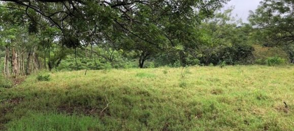 Grundstück in Alajuela, Costa Rica, Nr. 1698 2